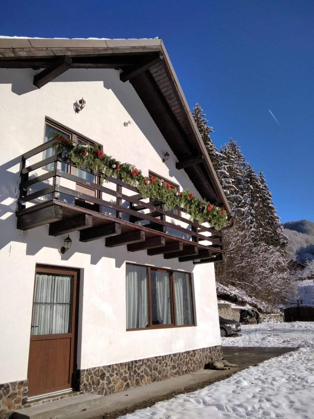 Casa Valea Prejbei Villa Rau Sadului Ngoại thất bức ảnh